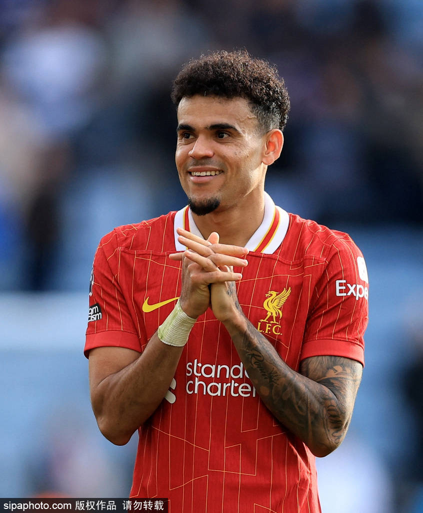 罗能借鉴类 罗能借鉴类